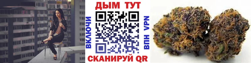 Купить где  Малгобек  Конопля ГИДРОПОН 